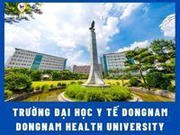 Trường Đại học Y DongNam - 